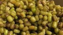 How To Cook Mung Beans Without Soaking (Video) - Green Moong Dal How To Cook Mung Beans Without Soaking (Video) - Green Moong Dal