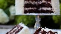 Chocolate Coconut Cake Chocolate Coconut Cake