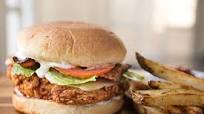 Spicy Chicken Sandwich Spicy Chicken Sandwich