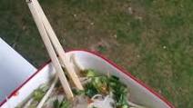 Pho Ga Soup Pho Ga Soup