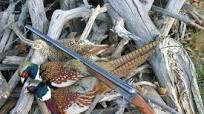 Pop-Kabobs: Delicious Sharp Tailed Grouse Recipe Pop-Kabobs: Delicious Sharp Tailed Grouse Recipe
