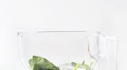 Creamy Pineapple Cucumber Smoothie Creamy Pineapple Cucumber Smoothie