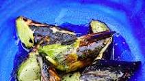 Charred Leeks With Honey and Vinegar Charred Leeks With Honey and Vinegar