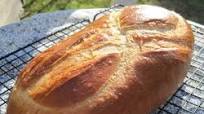 Pan Cubano (Cuban Bread) Pan Cubano (Cuban Bread)