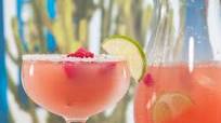 Prickly Pink Margarita Prickly Pink Margarita