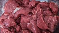 Basic Cat Food Gravy Recipe Basic Cat Food Gravy Recipe