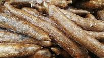 ¿Sabes por qué deberías comer yuca? ¿Sabes por qué deberías comer yuca?