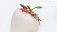 White Chocolate Covered Strawberries White Chocolate Covered Strawberries