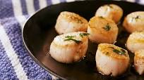Seared Scallops Seared Scallops