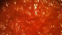 Slow Cooker Super Low Sodium Tomato/Meat Sauce Slow Cooker Super Low Sodium Tomato/Meat Sauce