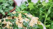 Kale Pasta Recipe Kale Pasta Recipe
