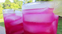 Prickly Pear Margarita Prickly Pear Margarita