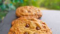 Chocolate Chip Cookies - Le Cordon Bleu Recipe Chocolate Chip Cookies - Le Cordon Bleu Recipe