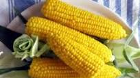 Corn on the Cob - Pressure Cooker Recipe Corn on the Cob - Pressure Cooker Recipe
