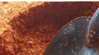 Sweet Memphis BBQ Rub Sweet Memphis BBQ Rub
