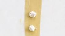 Four-Cheese Ravioli Four-Cheese Ravioli