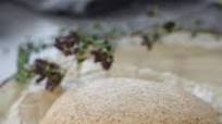 Easy Whole Wheat Pizza Dough Easy Whole Wheat Pizza Dough