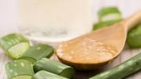 Aloe Vera Smoothie Recipe Aloe Vera Smoothie Recipe