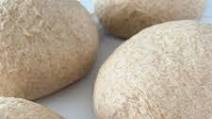 Pizza Dough Homemade (Half Whole Wheat!) Pizza Dough Homemade (Half Whole Wheat!)
