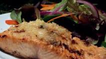 Grilled Salmon Steak Grilled Salmon Steak