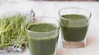 Wheat Grass Shikanji - Wheat Grass Lemonade Recipe Wheat Grass Shikanji - Wheat Grass Lemonade Recipe