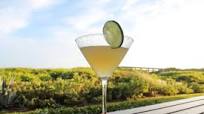 Cucumber Cilantro Margarita Cucumber Cilantro Margarita
