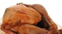 Nesco Roaster Oven Turkey Nesco Roaster Oven Turkey