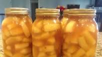 Apple Pie Filling - Canned or You Can Freeze It! Apple Pie Filling - Canned or You Can Freeze It!