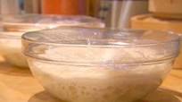 Basic Pizza Dough Basic Pizza Dough