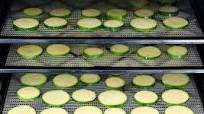 Zucchini Chips Zucchini Chips