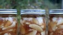 Canning Apple Pie Filling Canning Apple Pie Filling