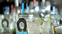 Horseshoe Margarita Horseshoe Margarita