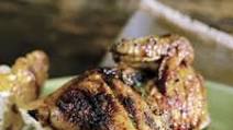 Cornish Hens under a Brick, Italian Style Cornish Hens under a Brick, Italian Style