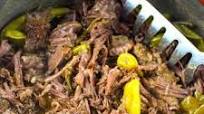 Dutch Oven Italian Beef Recipe Dutch Oven Italian Beef Recipe