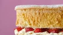 Feather Light Sponge Cake Feather Light Sponge Cake