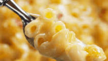 Creamy Mac And Cheese Recipe Creamy Mac And Cheese Recipe