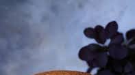 Rich fruit cake Rich fruit cake