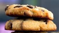 Coconut Flour Cookies Coconut Flour Cookies