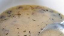 Cream of Mushroom Sauce Cream of Mushroom Sauce