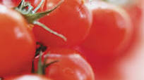 Cherry Tomato and Lemon Bruschetta Cherry Tomato and Lemon Bruschetta