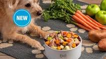 Easy Slow-Cooker Dog Food Easy Slow-Cooker Dog Food
