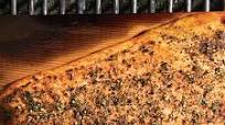 Cedar-Planked Salmon with Lemon-Pepper Rub and Horseradish-Chive Sauce Cedar-Planked Salmon with Lemon-Pepper Rub and Horseradish-Chive Sauce