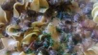 Canned Deer Meat Stroganoff Canned Deer Meat Stroganoff