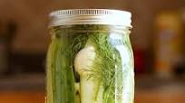 Homemade Dill Pickles Homemade Dill Pickles