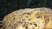 Bread Machine Kalamata Olive Bread