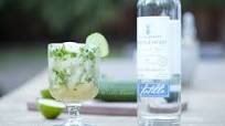 The Spa-garita: Cucumber Cilantro Healthy Margarita The Spa-garita: Cucumber Cilantro Healthy Margarita