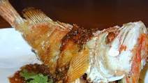 Fried Fish with Tamarind Sauce Recipe Fried Fish with Tamarind Sauce Recipe