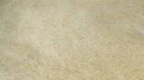 Whole Wheat Pizza Dough Secret Family Recipe Whole Wheat Pizza Dough Secret Family Recipe