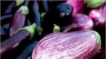 Roasted Eggplant Roasted Eggplant