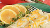 White Chicken Enchiladas White Chicken Enchiladas